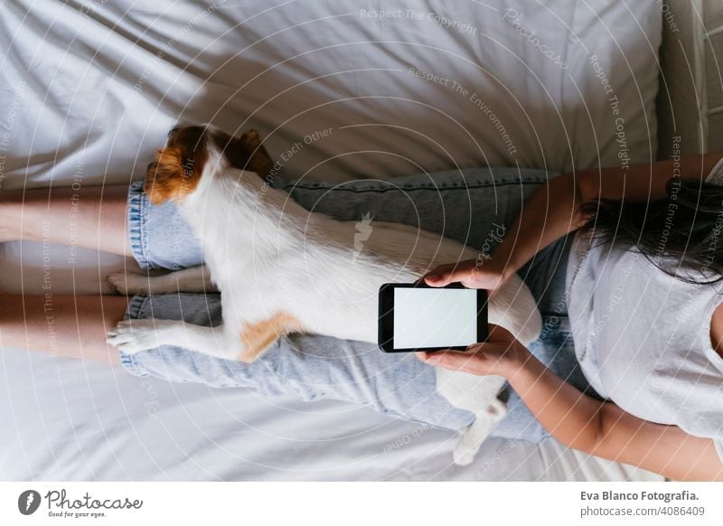 young caucasian woman on bed using mobile phone. Cute small dog lying besides. Love for animals and technology concept. Lifestyle indoors girl fun love lovely