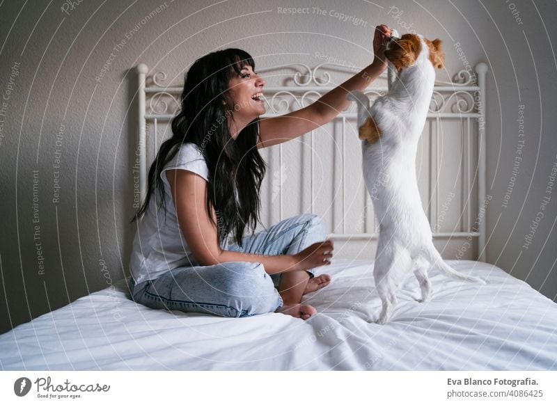 young caucasian woman on bed with her cute small dog playing and giving him treats. Love for animals concept. Lifestyle indoors girl fun love lovely family