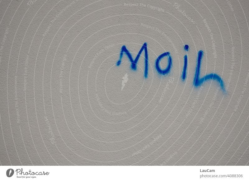Blue graffiti writing "Moin" on white house wall Wall (building) Art Facade Daub Street art Word Welcome Youth culture Wall (barrier) Mural painting Creativity