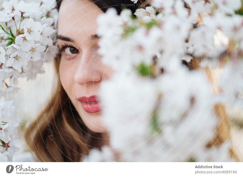 Beautiful woman amidst white flowers tree blooming branches spring smiling garden young female blossom flora plant aroma scent glad pleasure elegant happy lady