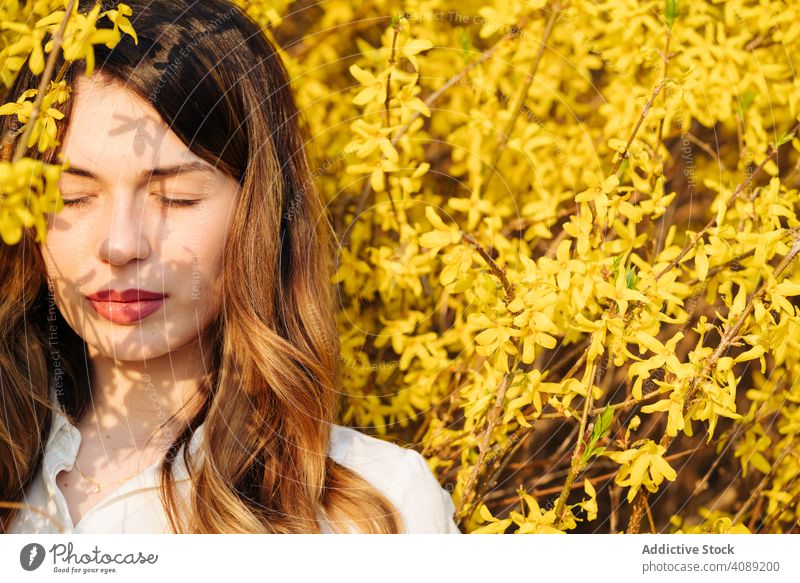 Beautiful woman with closed eyes amidst yellow flowers tree blooming dreaming branches spring smiling sunny garden young female blossom flora plant aroma scent