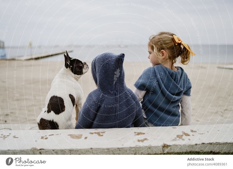 Kids hugging dog on beach kids friendship love pet sea sitting obedient baby french bulldog casual children lifestyle leisure embracing rest relax puppy loyal