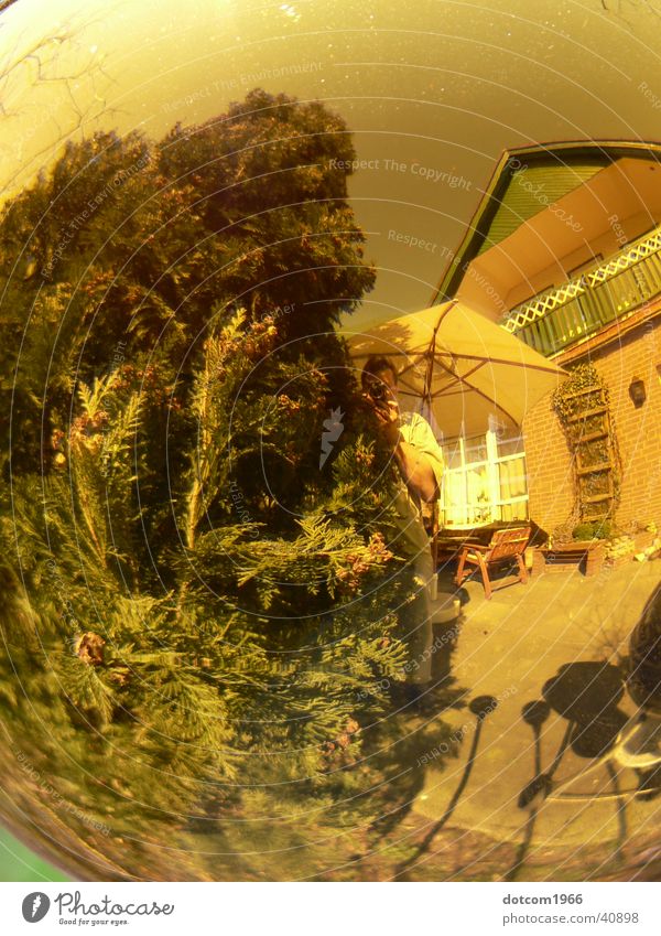 spherical world Yellow Summer Terrace Living or residing Sphere reflection Garden