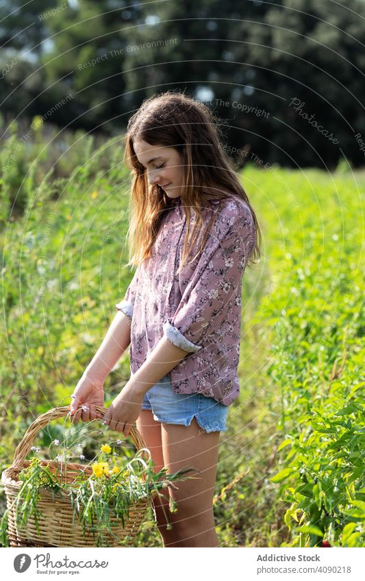 Smiling teen girl with basket of herbs teenager farm smiling looking down field catalonia spain anoia sunny daytime casual harvest lifestyle nature green