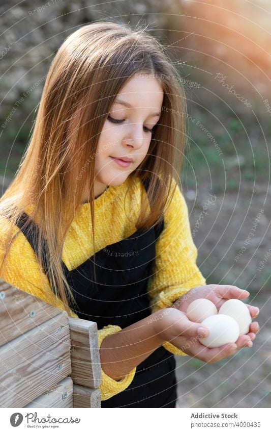 Girl taking eggs from chicken nest girl farm raw fresh countryside help kid child chores household agriculture cute pretty fragile barn poultry season little