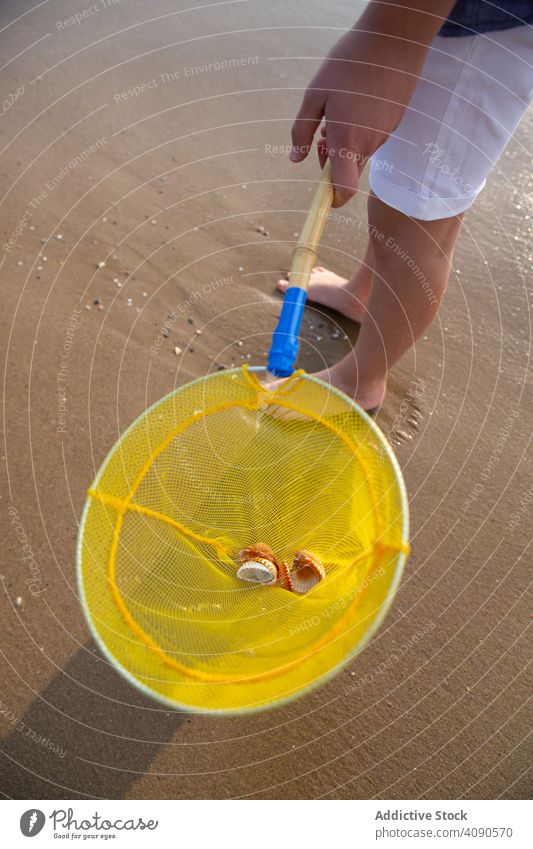 Yellow push net with seashells beach summer sand nautical marine ocean travel seaside tourism play leisure holidays kid vacation weekend yellow circle seashore