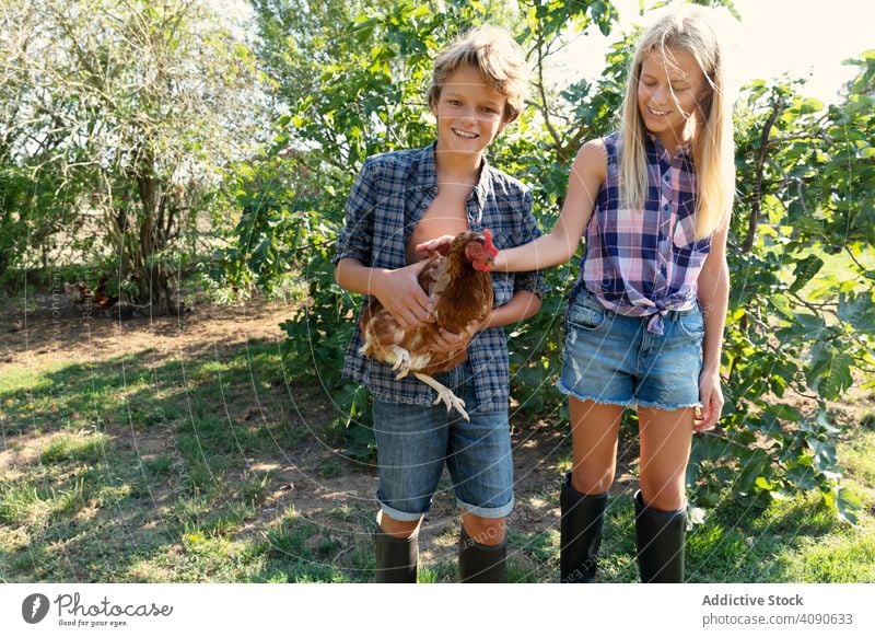 Cheerful siblings with chicken on farm smiling petting teen bushes sunny daytime together sister brother teenagers girl boy animal hen bird poultry agriculture