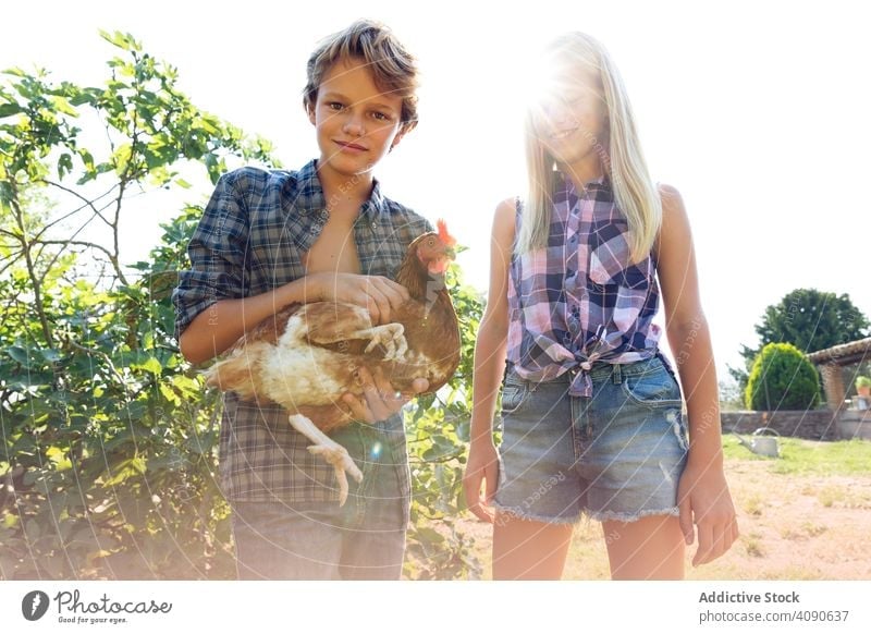 Cheerful siblings with chicken on farm smiling petting teen bushes sunny daytime together sister brother teenagers girl boy animal hen bird poultry agriculture
