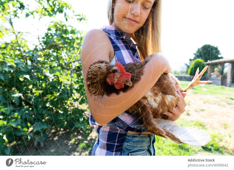 Cheerful girl with chicken on farm smiling petting teen bushes sunny daytime animal hen bird poultry agriculture ranch summer cheerful joy happy family glad
