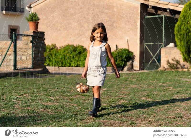 little girl carrying a eggs basket in farm and looking at camera cute food child kid healthy organic people grass holding caucasian happy childhood family hand