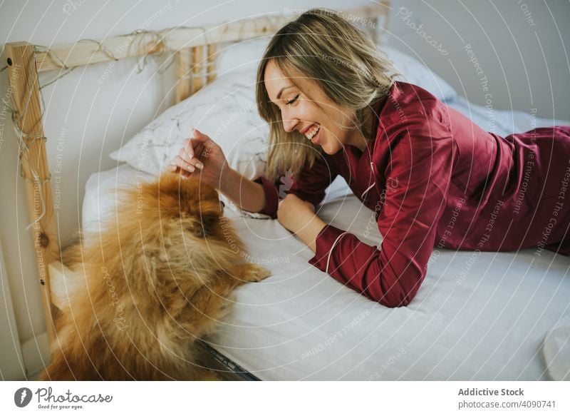 Smiling woman lying in bed with dog smiling young happy female pet animal beautiful friendship cute happiness bedroom morning together lifestyle people home