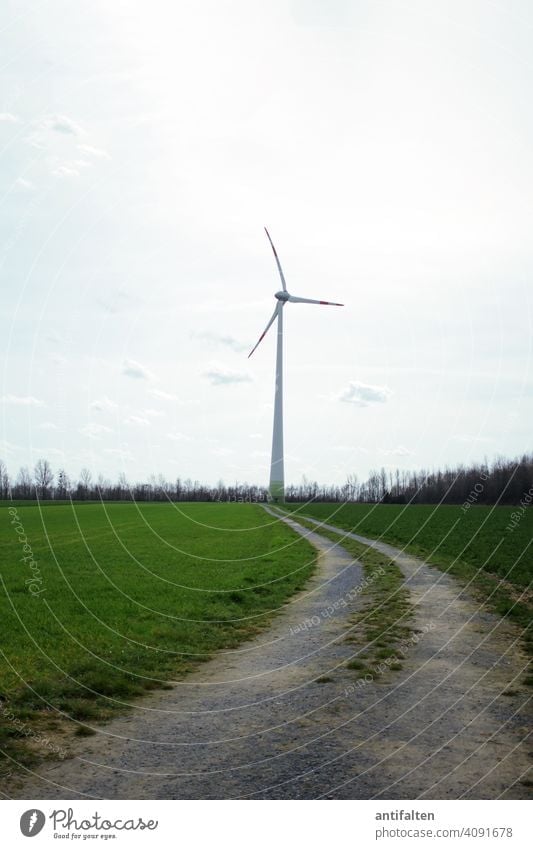 The way to the future Pinwheel Energy Renewable energy Energy industry Wind energy plant Sky Electricity Environmental protection Technology Eco-friendly