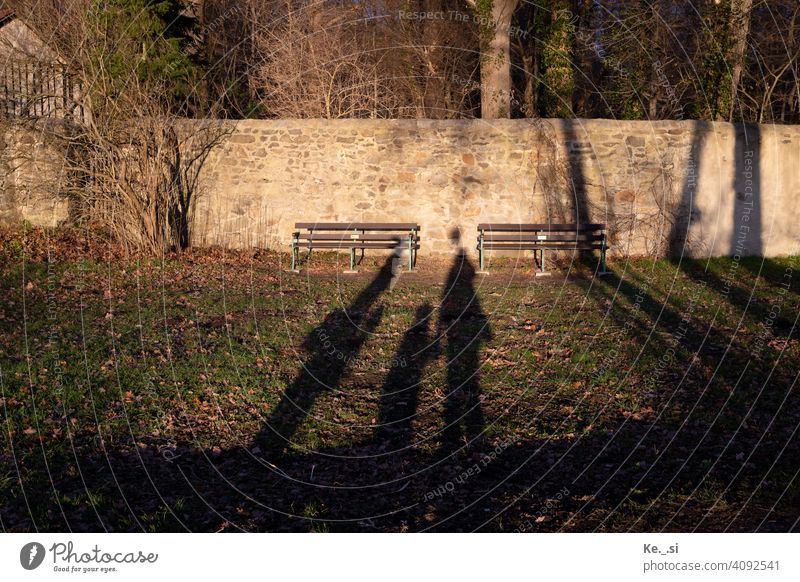 Shadow picture of family walking in the evening with view on park bench long shadows Park bench Wall (barrier) Evening evening light Available Light Forest
