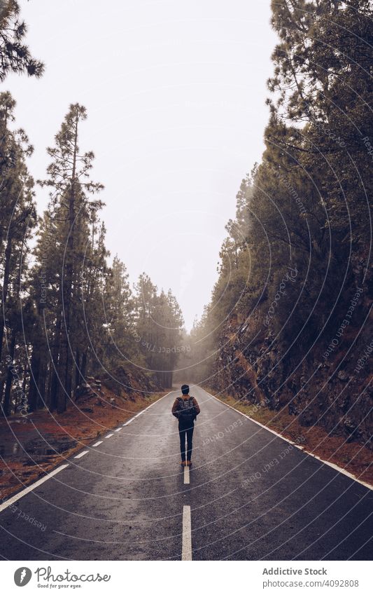 Traveler walking on empty road in woods traveler forest backpack landscape hiking solitude mist hiker spain tenerife roadway calm tranquil picturesque peace