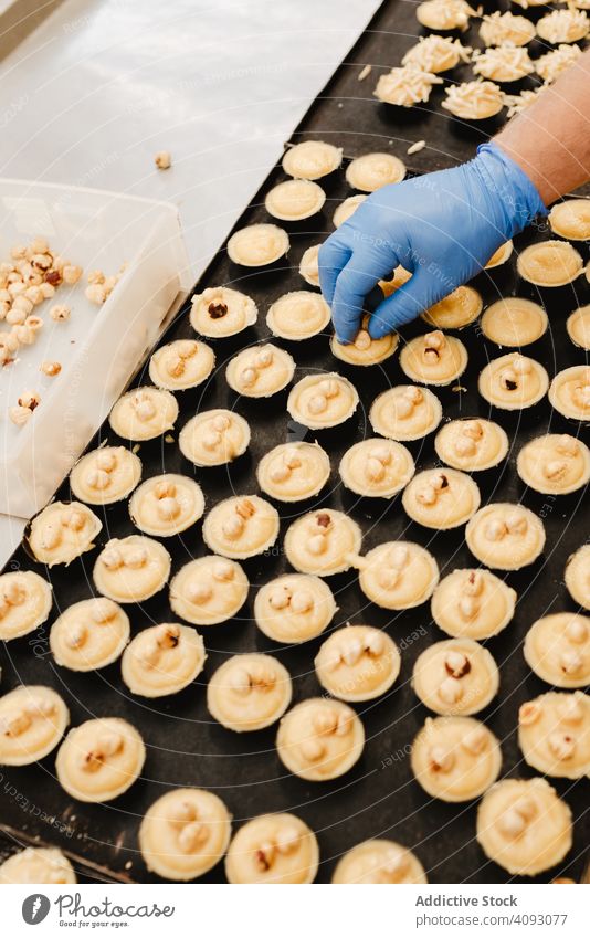 Crop confectioner decorating patisserie with nuts bakery pastry hazelnut sweet tray cook cake food small business quality glove hygiene top yummy tasty