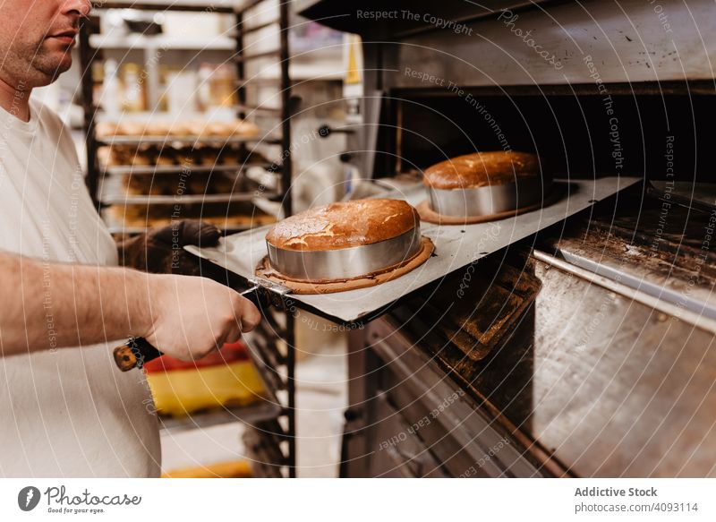 Bald baker checking pastry inside oven man bakery peek work confectioner cook hot process male adult uniform cuisine small business wait heat warm equipment