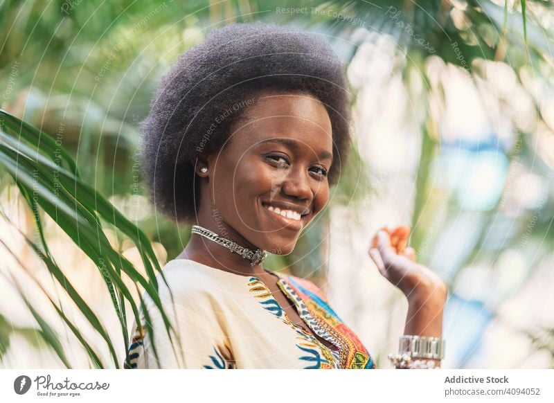 Cheerful African lady amidst palm leaves woman smile african leaf traditional colorful joy female relax ethnic black cheerful happy glad delighted optimistic