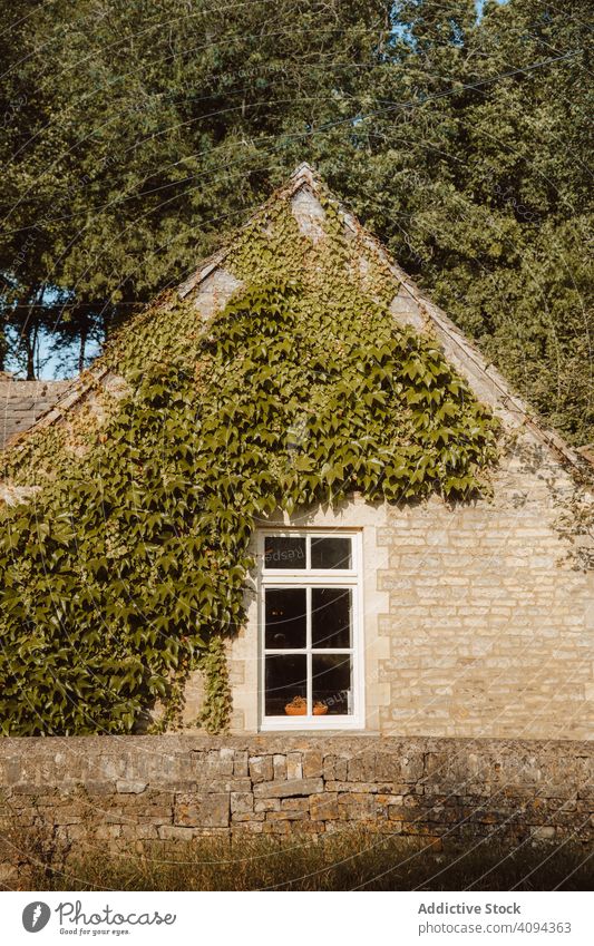 Old building with green foliage and gable roof house old stone ivy castle combe dorset architecture travel destination tourism creeper covered village medieval