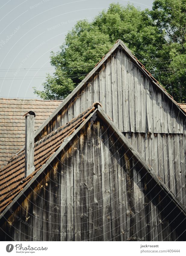Stable & Cowshed Architecture Barn Chimney Wood Old Authentic Transience Weathered Wooden board Roofing tile Gable Bleached Structures and shapes Deciduous tree