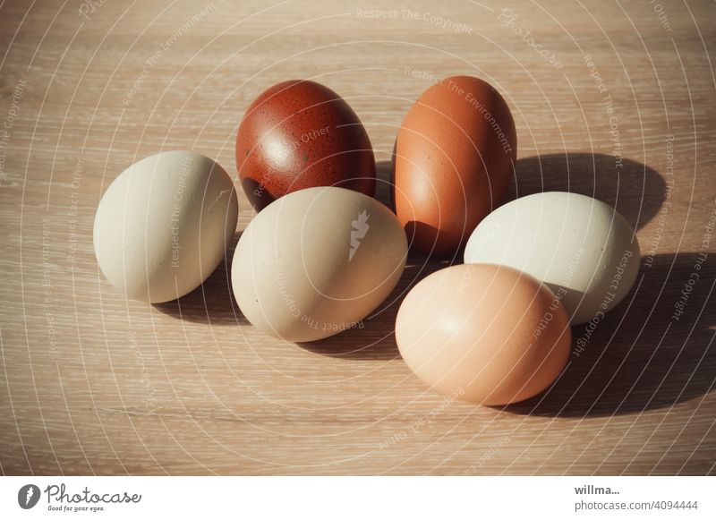 White and brown eggs Chicken eggs Brown 6 Nutrition Food naturally Fresh Easter Easter eggs Egg animal product food products breakfast egg fresh from the farm