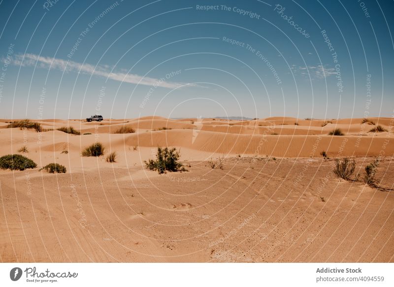 Car tracks on sand in desert car trail dune arid sunny daytime morocco africa travel trip journey landscape nobody tourism vehicle nature sky blue weather dry