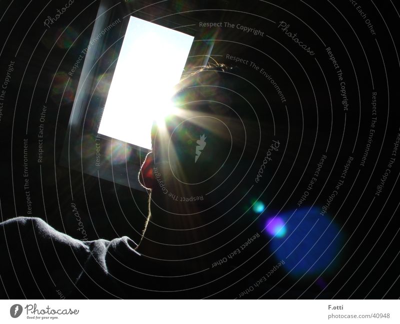 Misterious Portrait Camera Back-light Dark Sunbeam Man Human being
