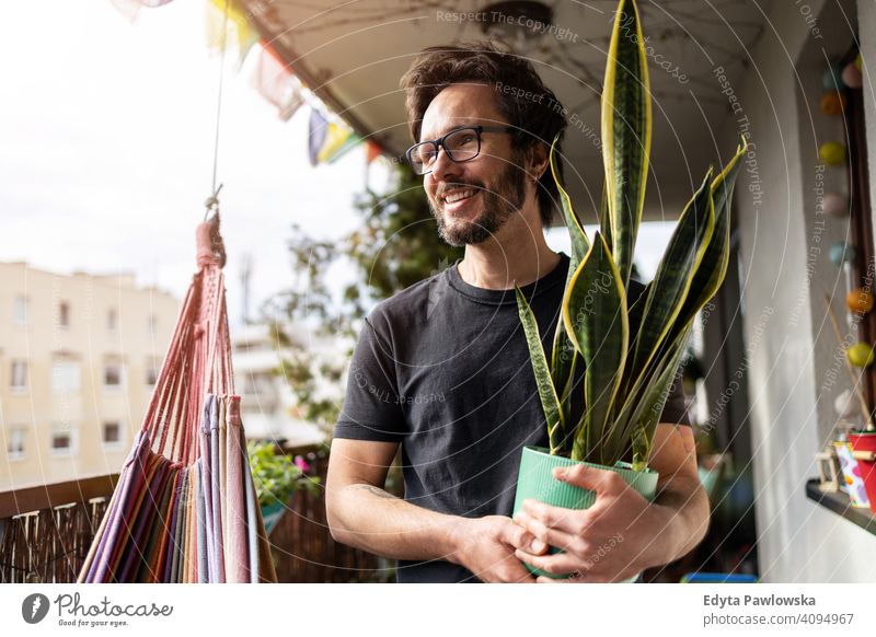 Young man taking care of his plants on a balcony hammock Sansevieria potted plant lockdown stay at home handsome hipster urban flat city millennials beard