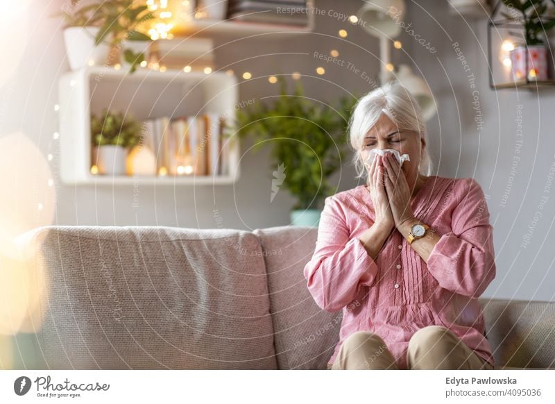 Senior woman blowing her nose people one person senior mature pensioners retiree retired retirement old elderly gray hair caucasian adult lifestyle beautiful