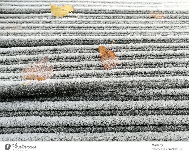 Hoarfrost and autumn leaves at sub-zero temperatures in autumn on stacked building material outside in Lemgo near Detmold in East Westphalia-Lippe Mature