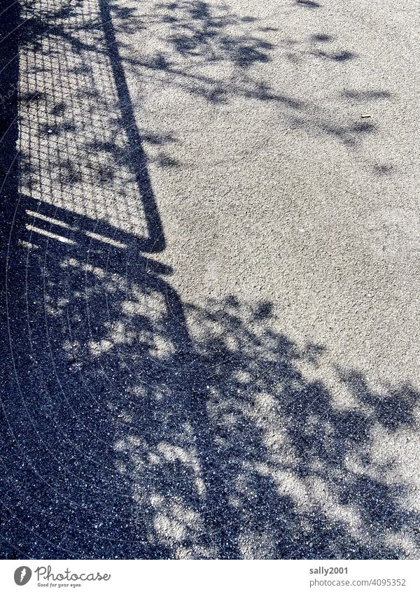 Fence and bushes cast their shadows on the road Shadow shadow cast Plant leaves Asphalt Street Sidewalk off Gray Pavement Sunlight Light and shadow