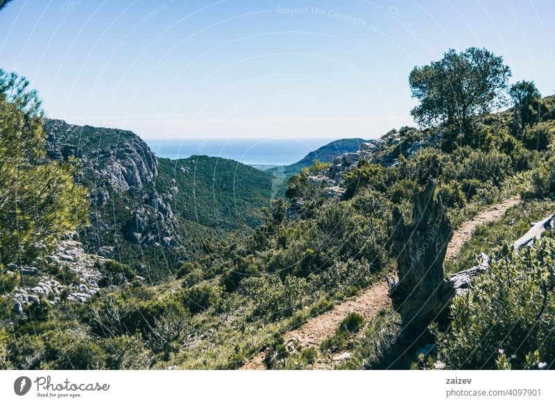 view from the top of a mountain in catalonia. eroded layered canyon nature outdoors travel destinations spain tarragona descent moment moody ascend haze huge