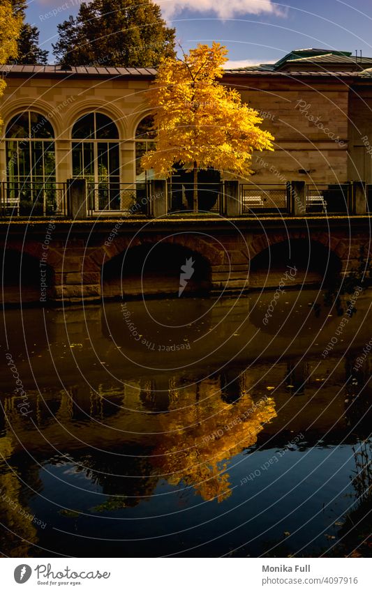 Golden October autumn foliage yellow river reflection building Architecture Vintage Reflection Water urban Building