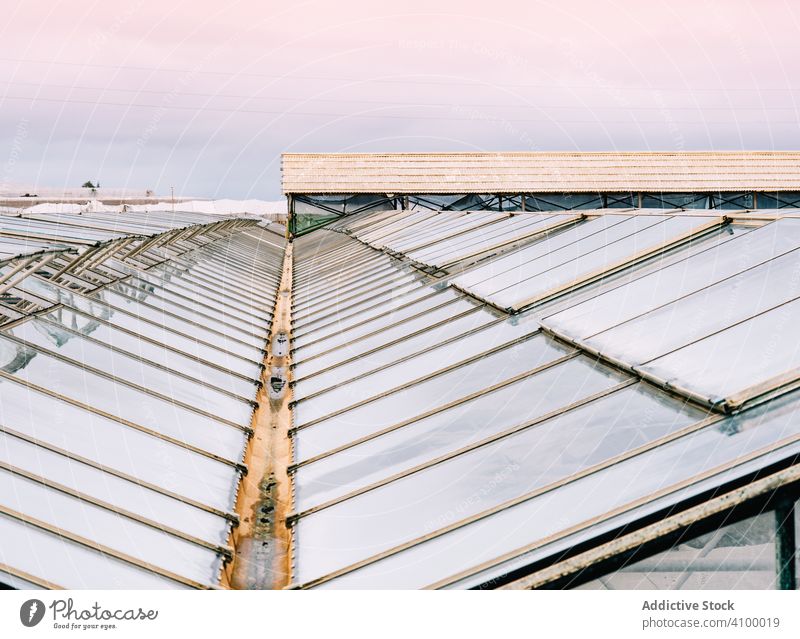 Glass greenhouse roofs in overcast weather farm glasshouse hothouse rural business garden work hotbed horticulture polycarbonate construction propagator