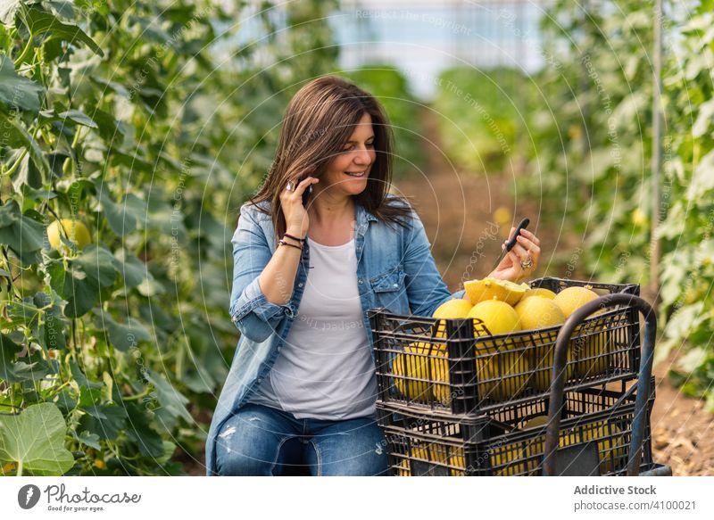 Farmer using smartphone while working in greenhouse farm talking melon read woman knife profit income business watch happy attentive plan glasshouse smile food