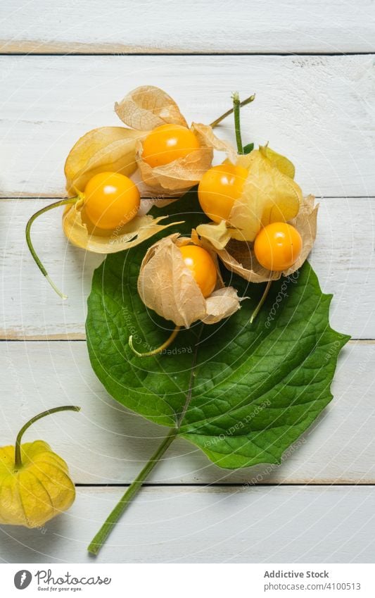 Physalis fruit (Physalis peruviana) also called uchuva, cape gooseberry or gold berries, native of Peru, on a wooden white board with leaves. physalis