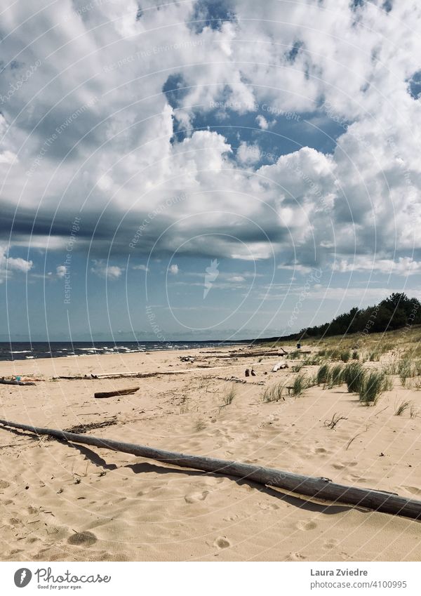 Summer day on the beach Beach summer day Coast coastline Beach vacation Sky Skyline Blue sky sea Water Sand Vacation & Travel Nature Relaxation Clouds Landscape