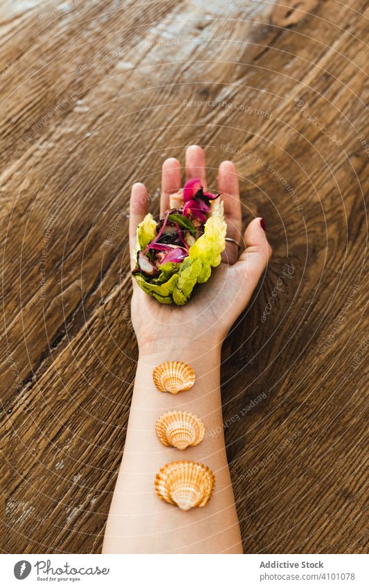 Crop female hand with lettuce wrap and seashells vegetarian vegan fresh meal food green colorful healthy salad organic vegetable filled snack tasty delicious