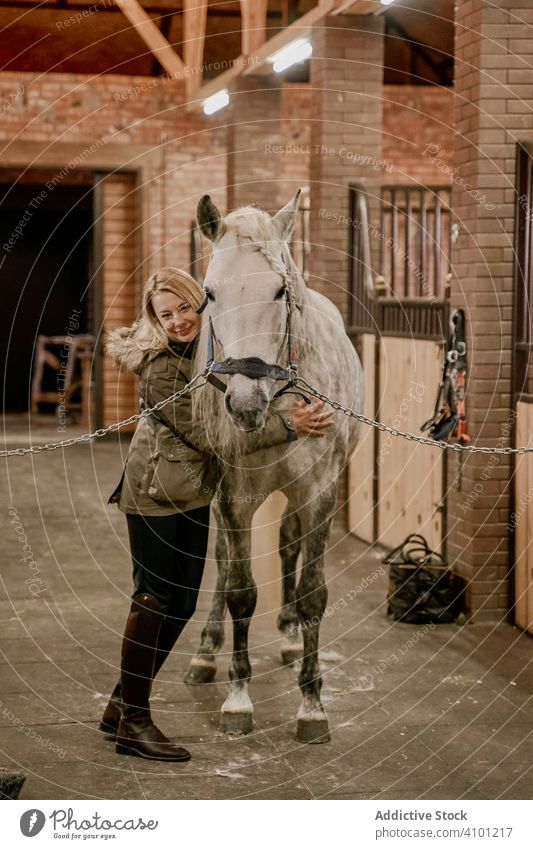 Woman hugging horse with long mane in face in stable woman pet stallion animal care dapple gray head muzzle white nature mammal bridle farm saddle field brown