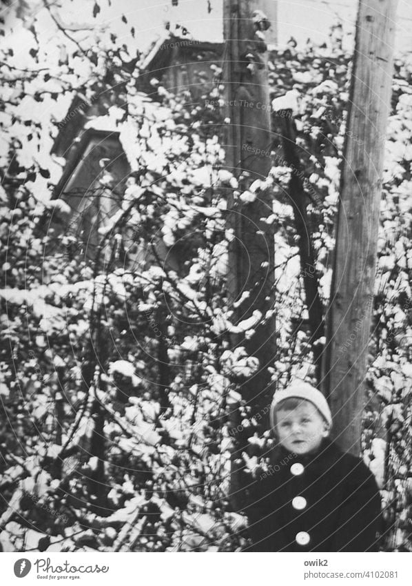 explorers bub Boy (child) Child masculine youthful Childlike Looking into the camera portrait Infancy Human being Face Smiling Exterior shot Winter Tree then