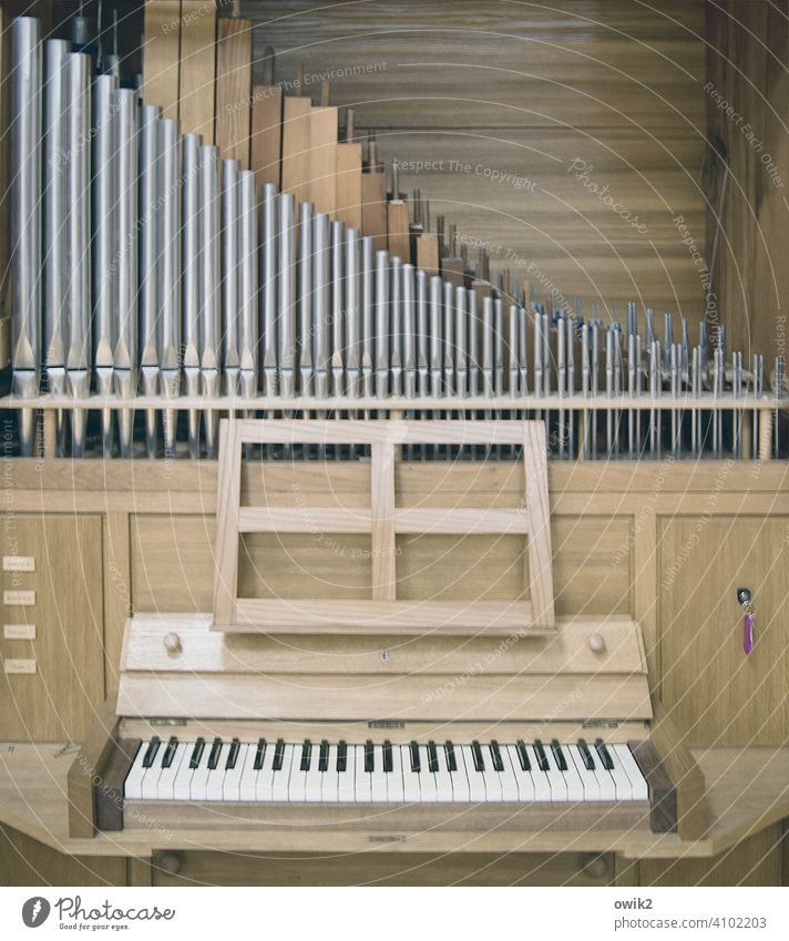 Up to stop Organ Musical instrument Organ pipe Wood Metal Tradition Colour photo Subdued colour Interior shot Structures and shapes Long shot Deserted