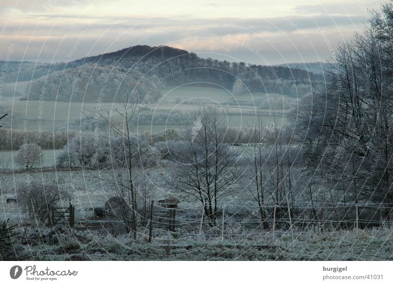 View into the valley Fog Calm Tree Hill Mountain Valley Frost Landscape