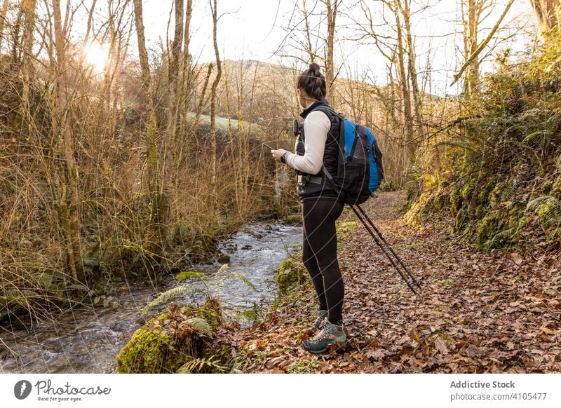 Anonymous female hiker with backpack exploring forest camper river trekking water plant green sunlight hiking woman activewear lifestyle trip nature tourist
