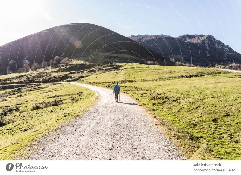 Anonymous female tourist with trekking poles on meadow hike mountain using hill rock green sunlight hiking woman activewear trip nature summer travel activity