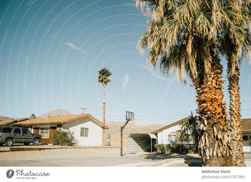Houses with garage and basketball hoop in street house summer architecture urban building home landscape venice beach usa palm day car california travel