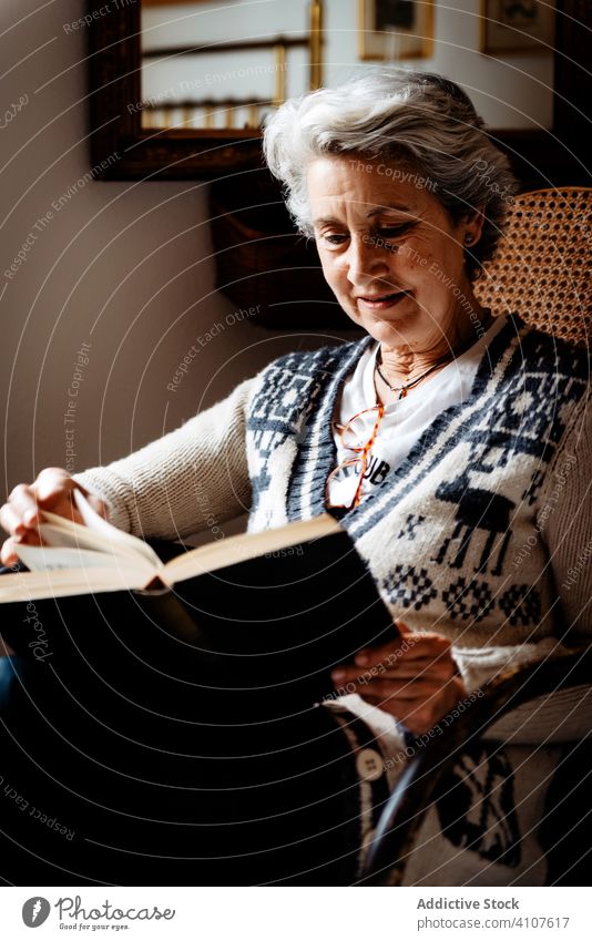 Elderly woman reading by window with enthusiasm book elderly knowledge literature concentrate information intelligent smart creative glasses relax hobby