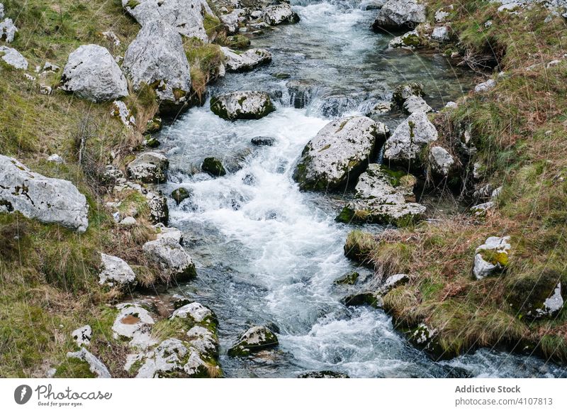 Foamy water stream flowing among rocky stones mountain peak river nature scenic landscape scenery wilderness adventure hill travel europe asturias spain strong