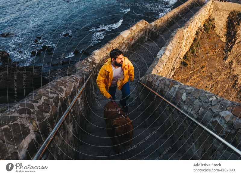 Man with pet on stone stairs against rocky sea shore during sunset man dog bridge water coast travel spain tourism ocean owner mastiff adventure male scenic bay