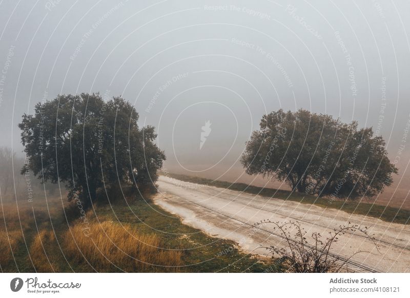 Dramatic landscape of misty morning in countryside dramatic road rural lead hazy scenery mysterious nature tree autumn travel season way journey field