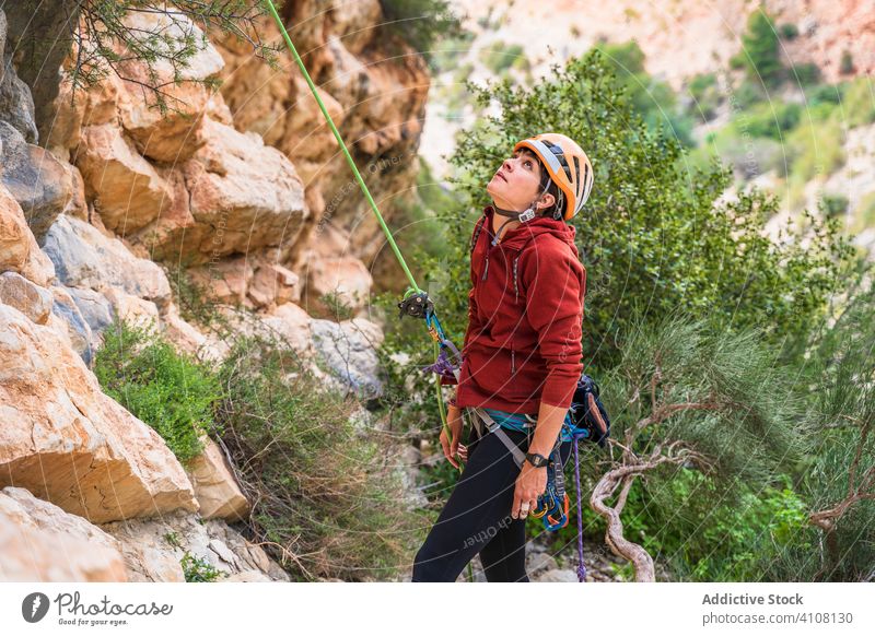 Focused young female alpinist practicing climbing in summer practice woman climber ready ascend cliff extreme explore adventure freedom tourism nature rock