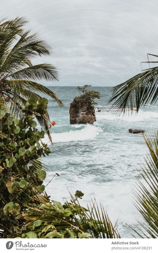 Stormy sea with palms in strong wind storm sky tropical rock overcast cliff wave plant landscape dramatic cloudy heaven green power exotic tourism tree idyllic